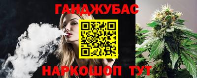 прущие крисы Изобильный