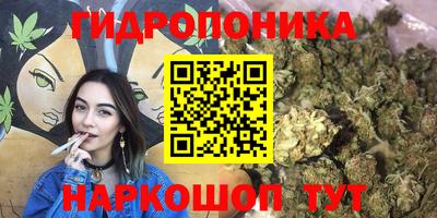 прущие крисы Изобильный