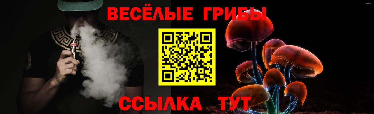 Псилоцибиновые грибы ЛСД  Вход с VPN  Касимов  Псилоцибиновые грибы мухоморы 